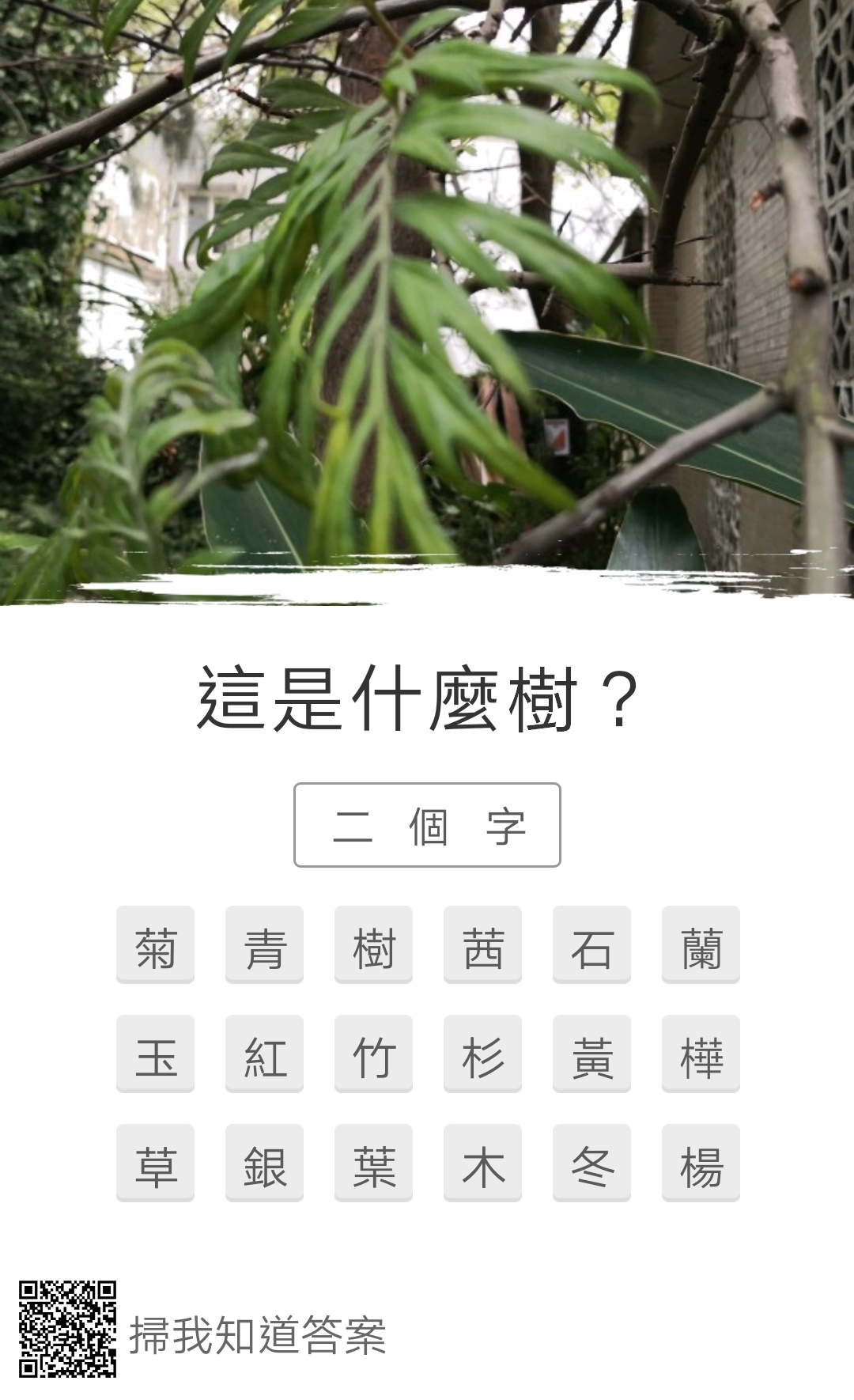 猜一猜 新北市鶯歌區中湖國小 猜一猜 新北市鶯歌區中湖國小
